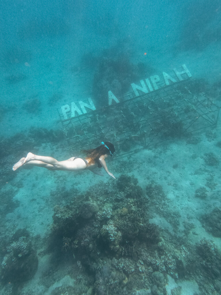 An old Pantai Nipah sign among the coral