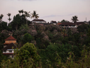 Read more about the article Sunrise on the Campuhan Ridge Walk – Ubud, Bali