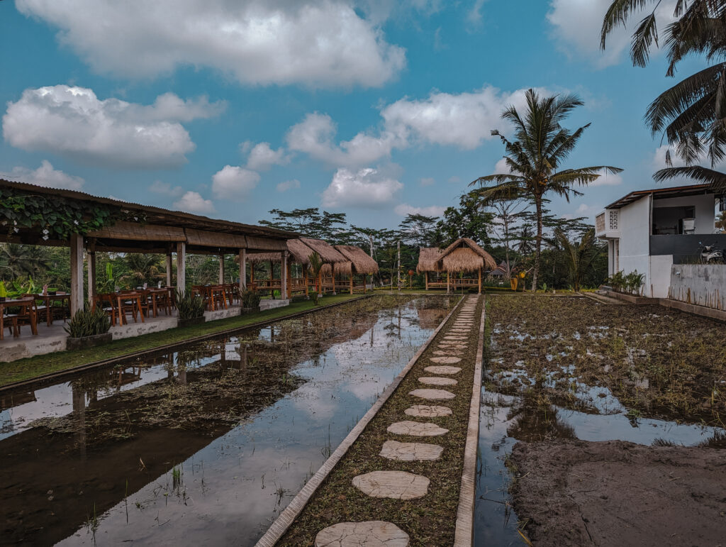 Seating area near the rice terraces at one of the warungs