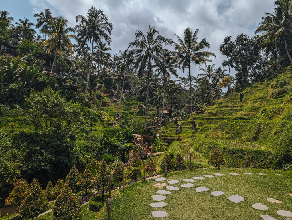 Rice terraces in the Alas Arum complex