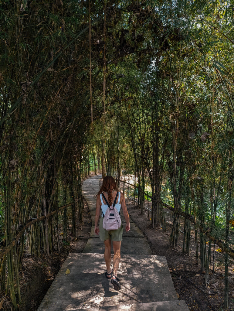 The path down to Suwat Waterfall