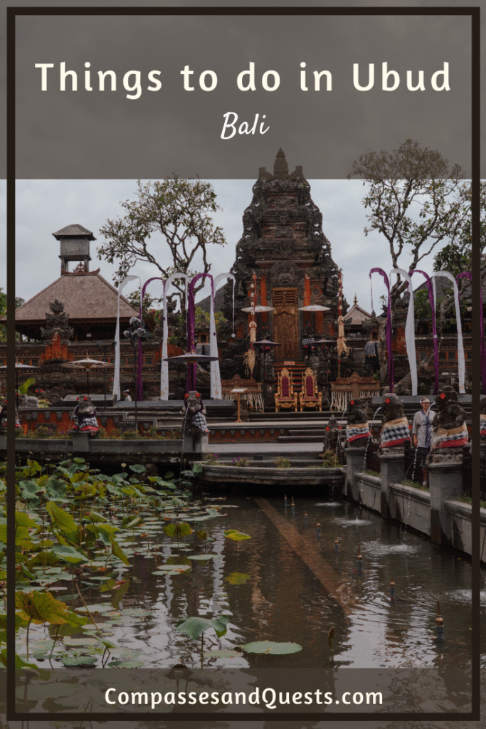 Things to do in Ubud Pin