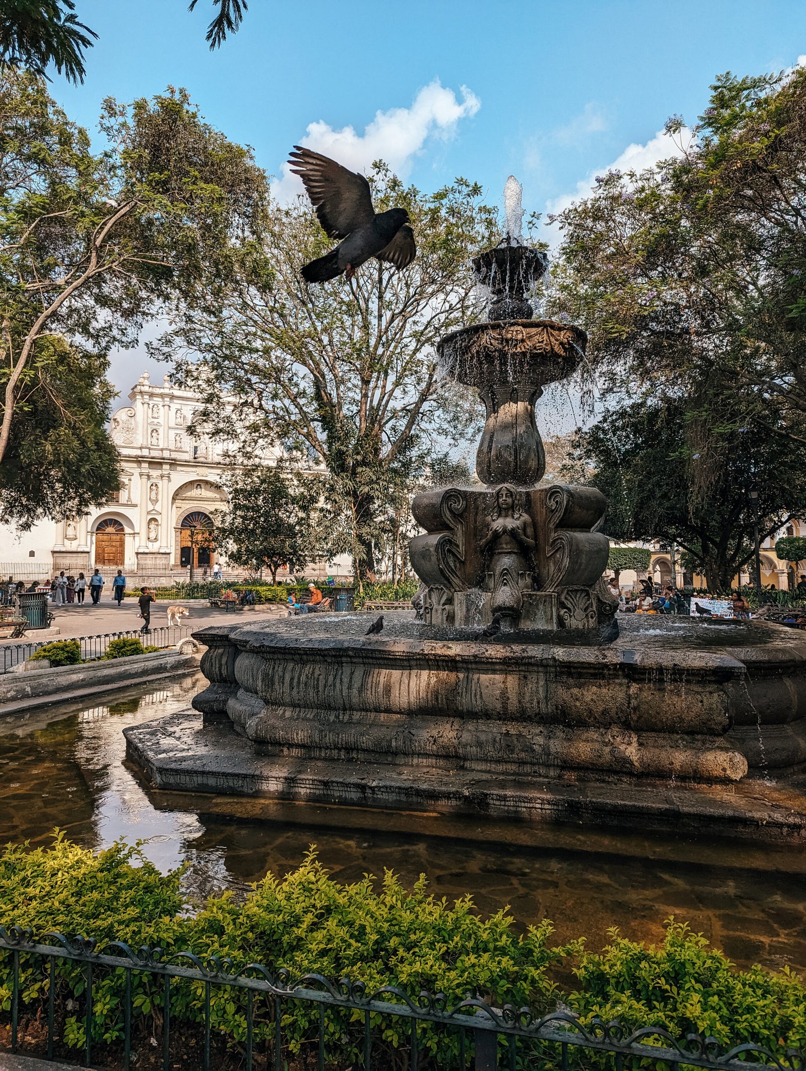 The fountain in Plaza Central