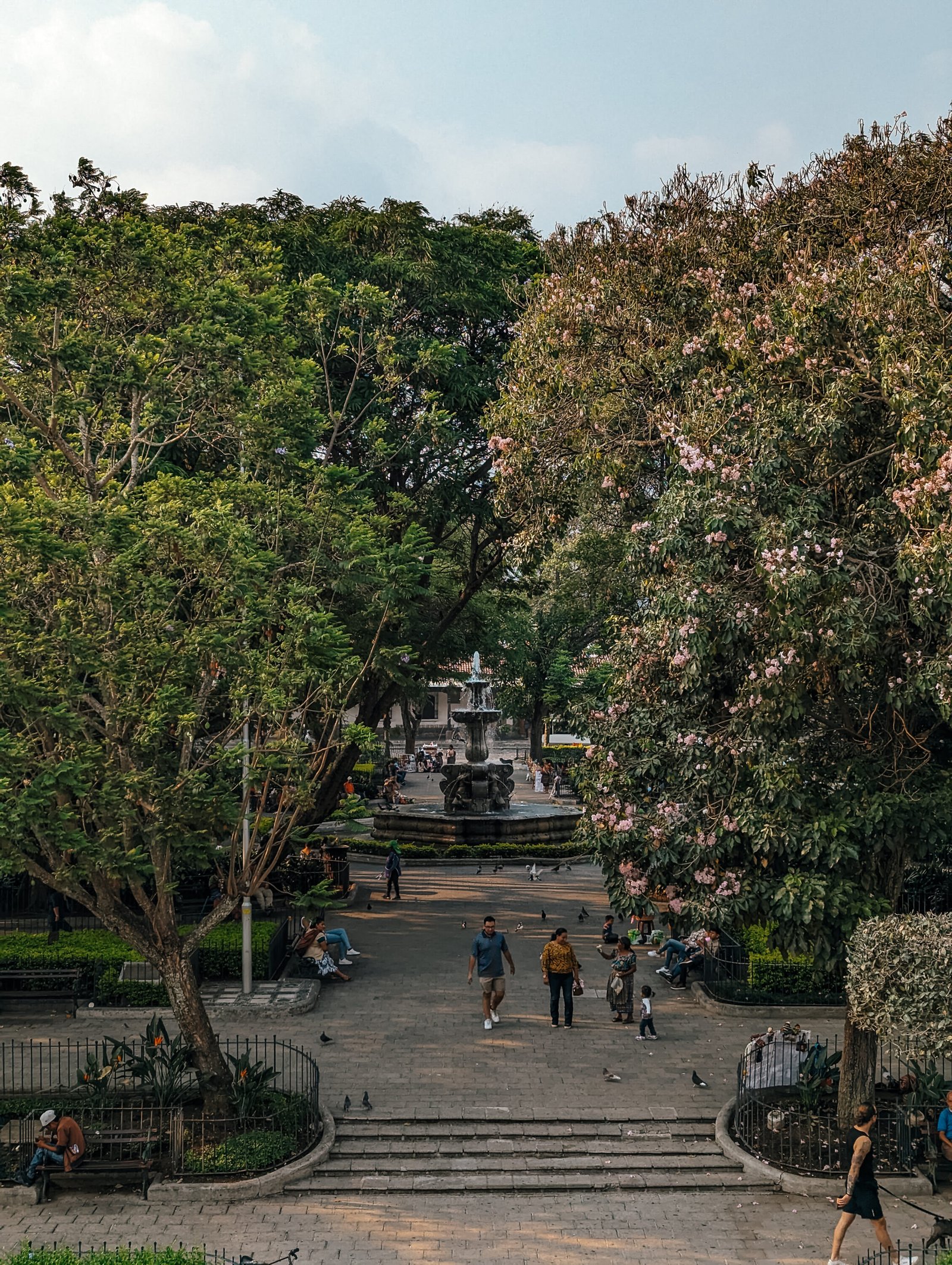 Looking over Plaza Central