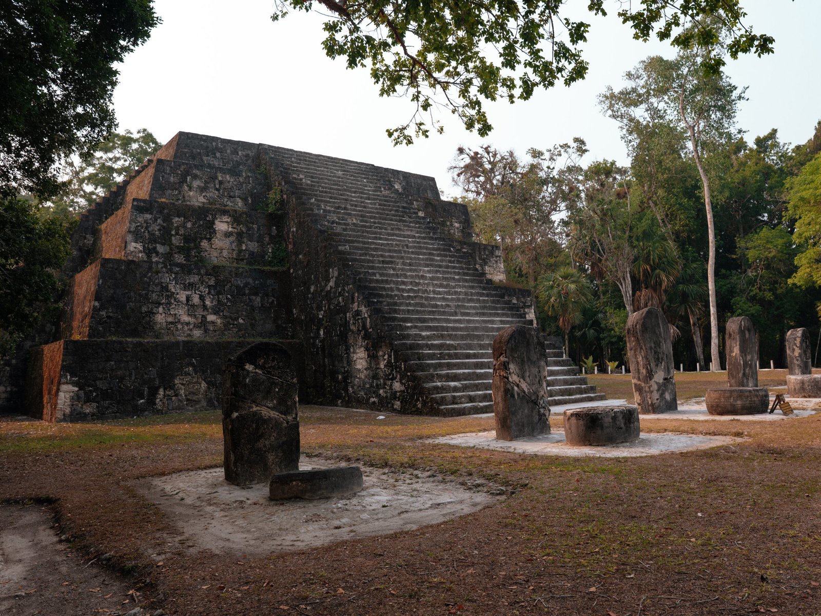 P1037647