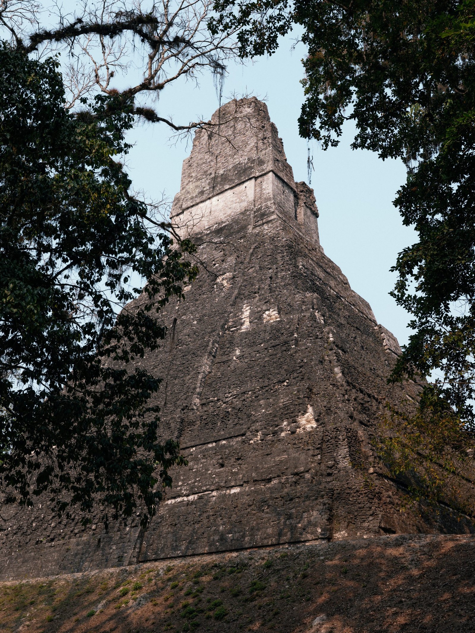 A temple standing tall among the jungle - Tikal National Park