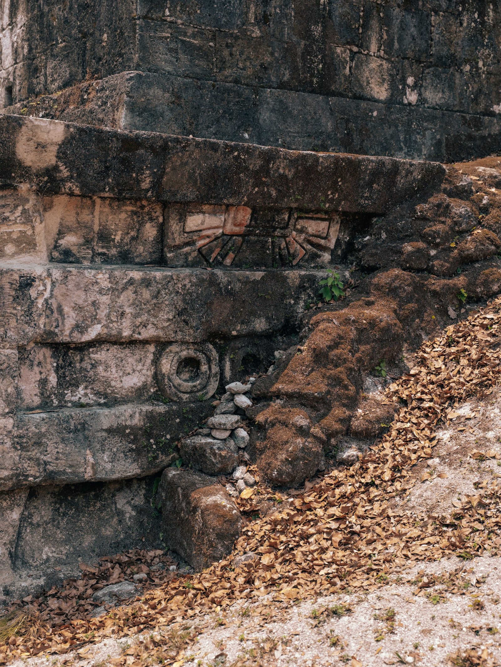 Carvings in a Mayan structure